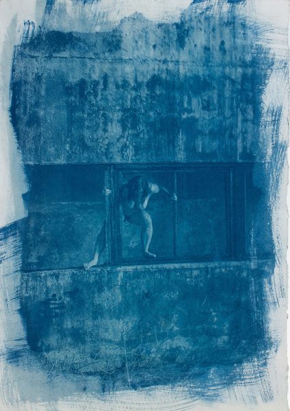 cyanotype © deinitio photography