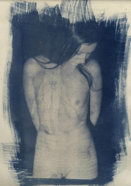 cyanotype © deinitio photography